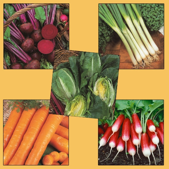 Grow Your Own Starter Kit