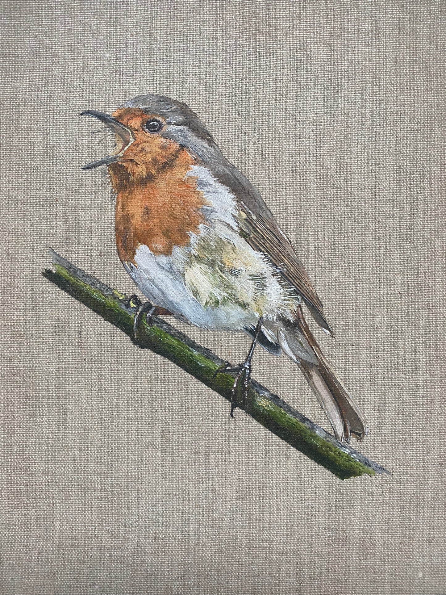 Robin Resting Oil Painting on Linen Canvas Print
