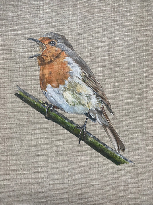 Robin Resting Oil Painting on Linen Canvas Print